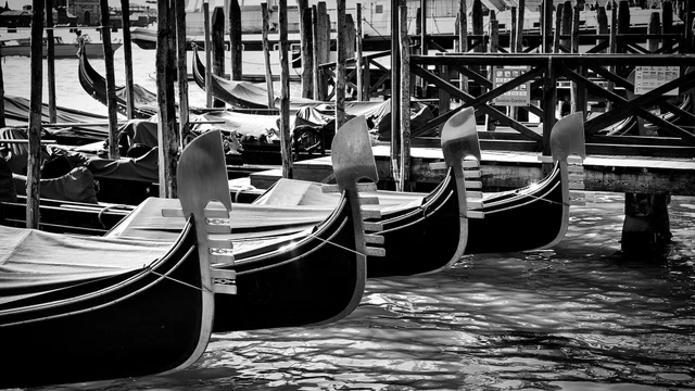 World — fotografia 13