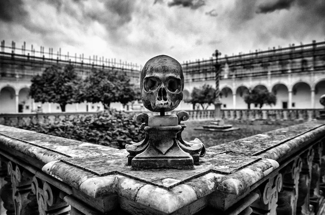 World — fotografia 15