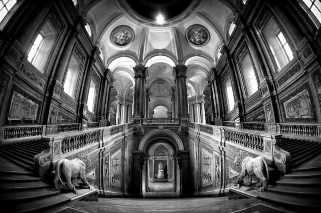 World — fotografia 51