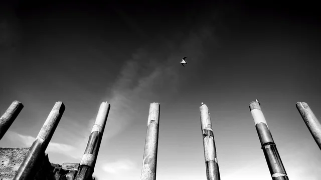 World — fotografia 8