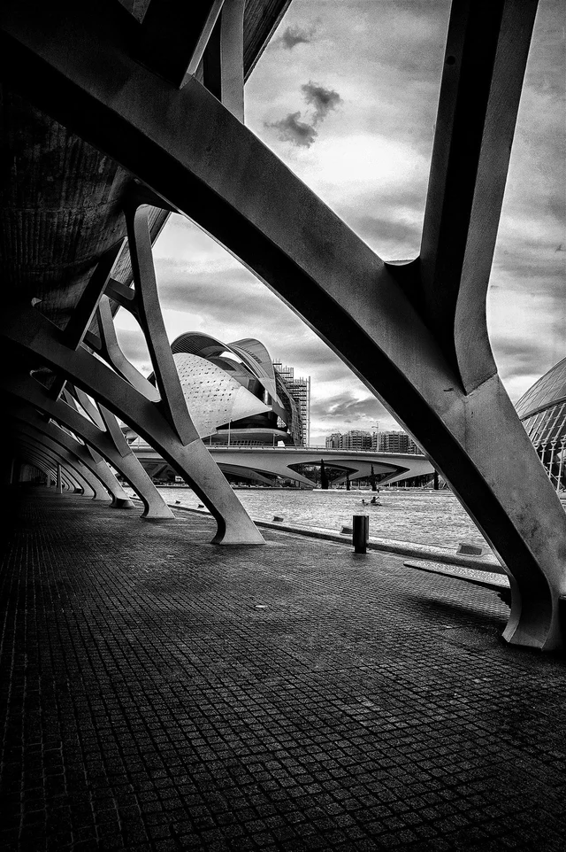 World — fotografia 59