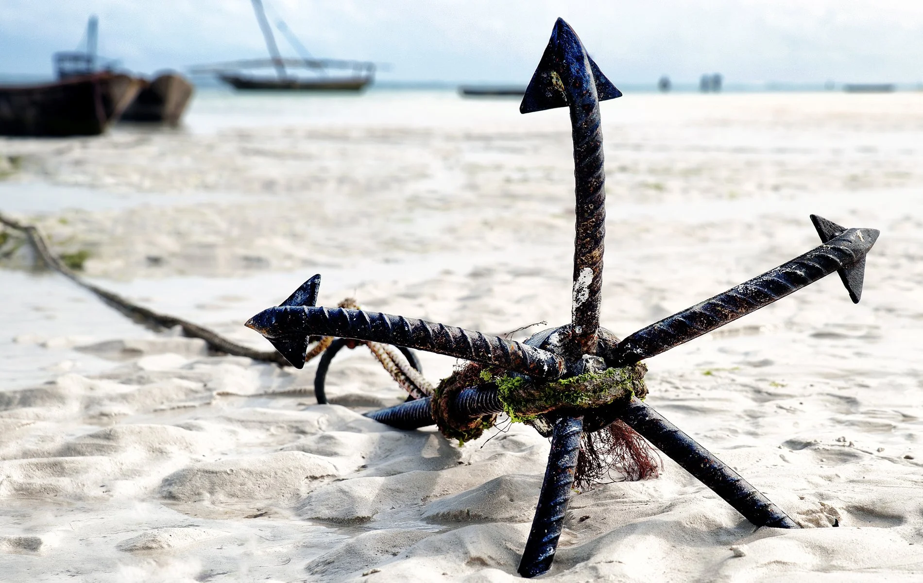 Zanzibar — fotografia di Antonio Mariniello